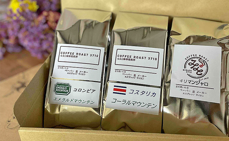コーヒー マウンテン 3種セット エメラルド コーラル キリマンジャロ 600g コーヒー 粉