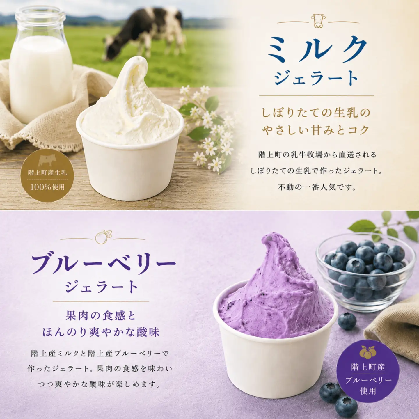 階上町産ミルクベースのジェラート　階上町オリジナル４種詰め合わせ（ミルク、ブルーベリー、早生そば、フクノスケ）