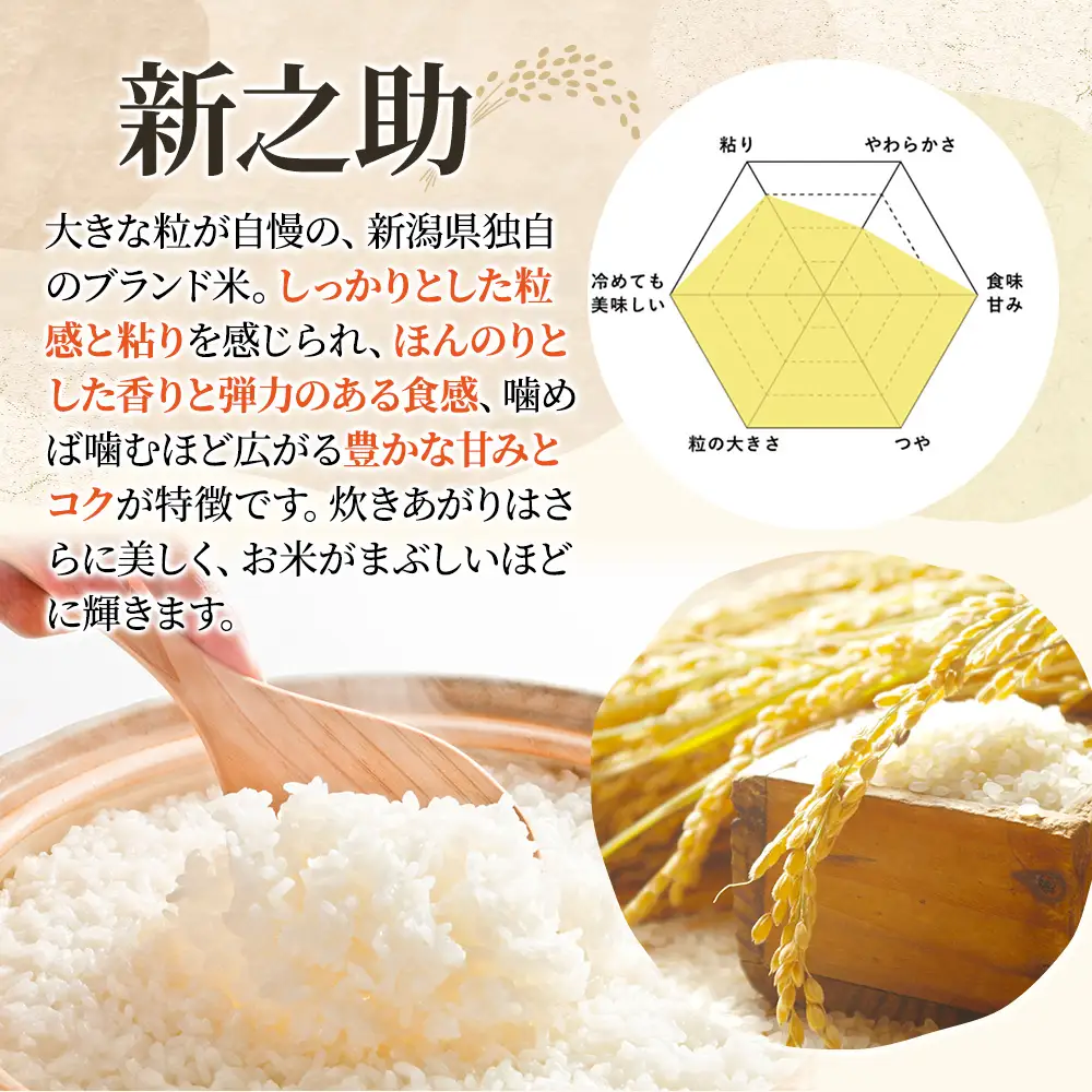【6ヶ月定期便】令和8年産 新之助 新米 5㎏ 6回