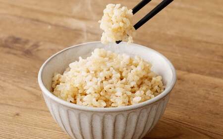 【玄米】 夢つくし （特別栽培米） 約10kg 福岡県産 令和7年産 玄米 米 こめ コメ