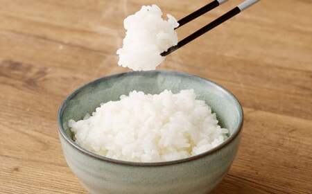 【7分】 夢つくし （特別栽培米） 約10kg 福岡県産 令和7年産 米 こめ コメ
