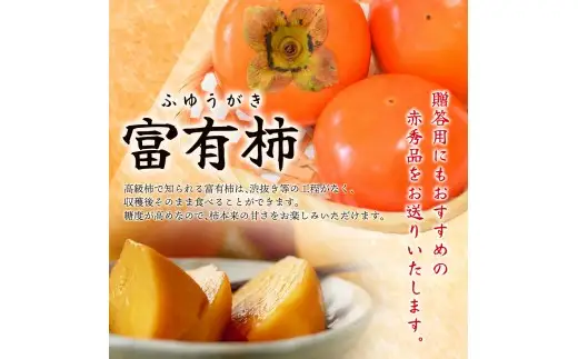 【2026年発送】富有柿 赤秀品 大玉 6個～8個入 こだわり農家厳選【2026年10月末から11月末頃に順次発送予定】 / 柿 フルーツ 果物 かき 和歌山 かつらぎ 農家直送 贈答 【kgr043】