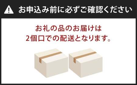【2個口】 SAKUTTO 携帯浄水器 （アウトドア向けデザイン） 100個セット 日本正規品 登山用品 登山 浄水器 アウトドア キャンプ用品 サバイバル 防災グッズ 防災 災害対策 福岡県 北九州市