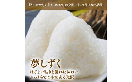 【先行予約】牟田農園の夢しずく 10kg （5kg×2袋） 【令和8年産】 ＜精米＞ 新米 予約 令和8年 米 夢しずく 10kg 5kg 牟田農園 佐賀県太良町産 佐賀県 太良町 PE12x1