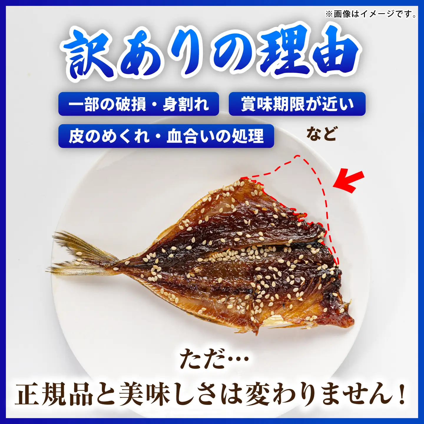 【訳あり】干物セット 15〜18枚 [JAQ035] 訳あり 干物