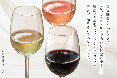 ワイン ポッジョ ヴェルデ 白・ロゼ・赤ワイン3本セット 「フェリーチェ　ビアンコ／ロザート／ロッソ」各750ml　【長野県 池田町】