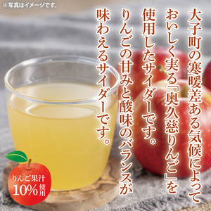 【数量限定】奥久慈りんごサイダー 200ml×6本セット｜茨城県 大子町 林檎 完熟 果汁 ジュース（AV014）