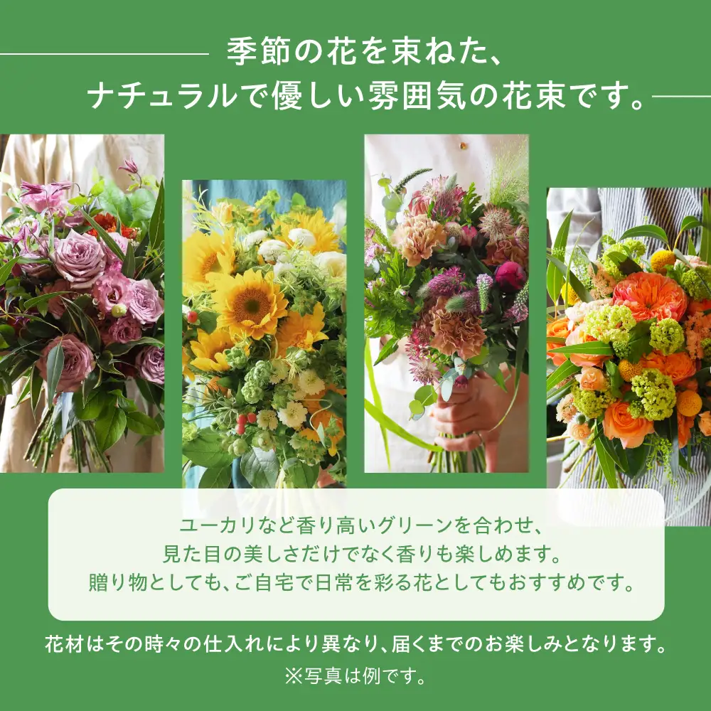 季節のお花 西濃フラワー Lサイズ 定期便 6回 