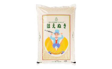 令和7年産 山形県産 はえぬき（精米）10kg（5kg×2） F3S-2635