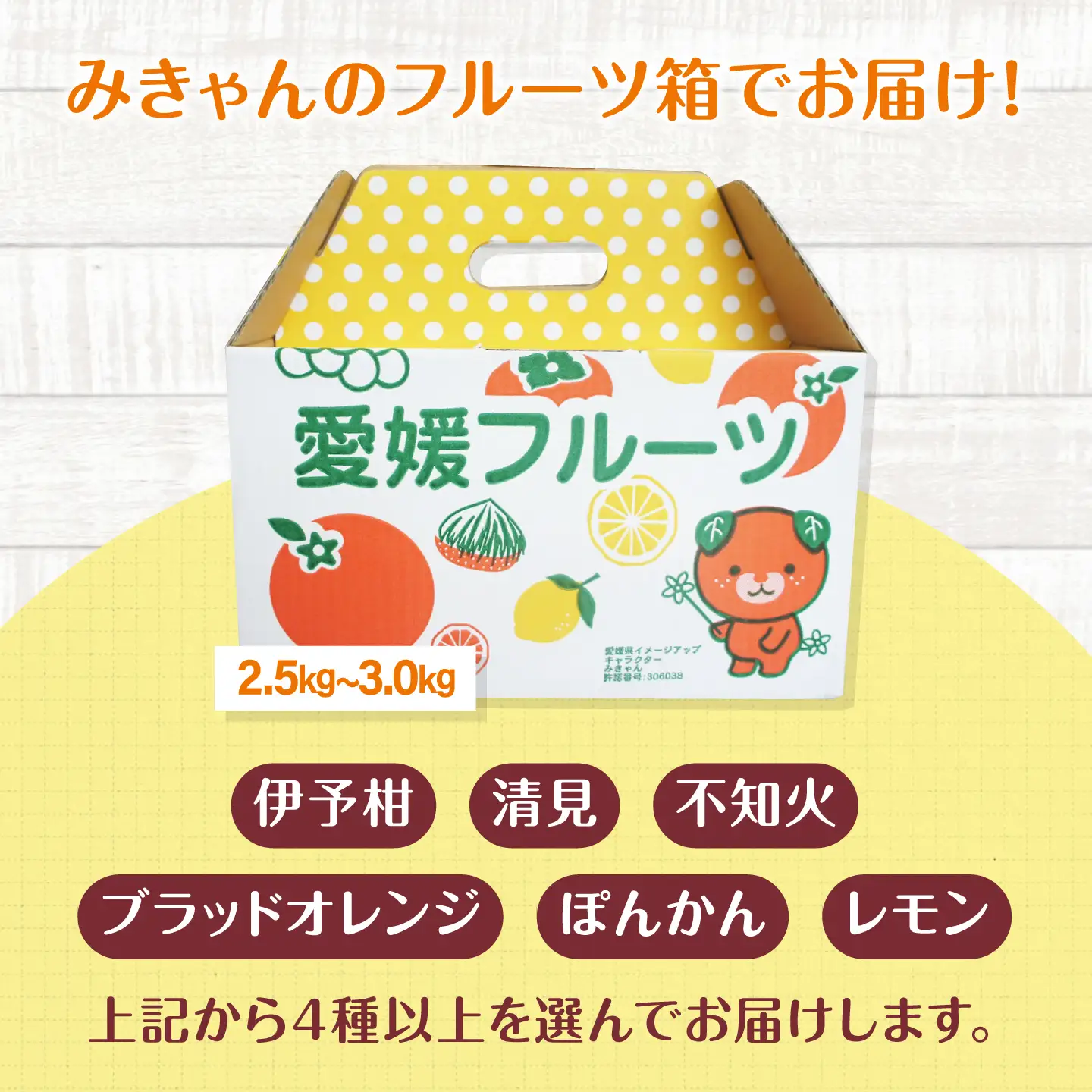 柑橘【3月上旬発送】柑橘おまかせセット[AGBN053]