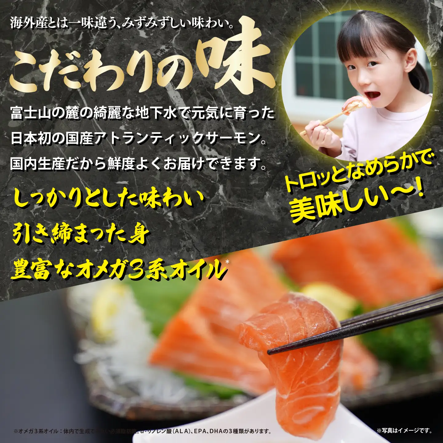 国産サーモン 冷凍 6～7P 約1.5kg サーモン