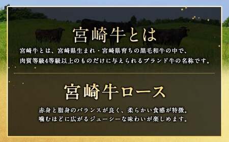＜宮崎牛ロースステーキ1枚 250g＞翌月末迄に順次出荷【c1529_mc_x1】 お肉 肉 宮崎牛 牛肉 ステーキ ステーキ肉 ロース ロースステーキ 冷凍 宮崎県 高鍋町