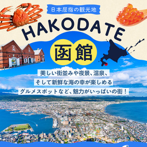 HISふるさと納税宿泊予約専用クーポン（北海道函館市）45,000円分_HD162-007