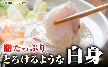 【全3回定期便】 【 対馬産 】 天然 クエ 300g （身のみ）《対馬市》【石川水産】 鍋 水炊き 鮮度抜群 海鮮[WAB033]