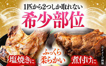 【全3回定期便】対馬産 本マグロ カマ 1kg ≪対馬市≫【桐谷商店】 トロの華 対馬 新鮮 マグロ かま 鮪[WAQ096]