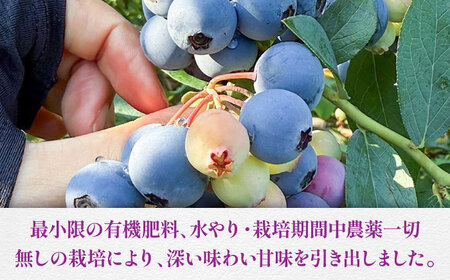 ブルーベリー 青い宝石国産急速冷凍 ブルーベリー 計約1.5kg BHCX006