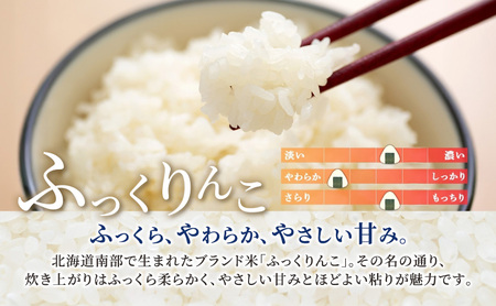 10ヵ月 600g 無洗米 ふっくりんこ 米 10ヵ月 定期便
