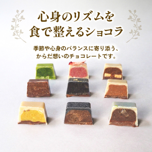 冬季発送 ローチョコレート 9個入り ヴィーガンチョコレートギフト 手提げ袋付き