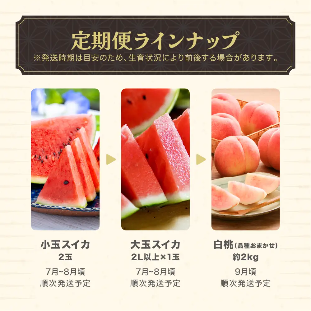 【先行予約】フルーツ定期便 全3回 小玉スイカ 大玉スイカ もも 令和9年産 sb-ftksh3-a