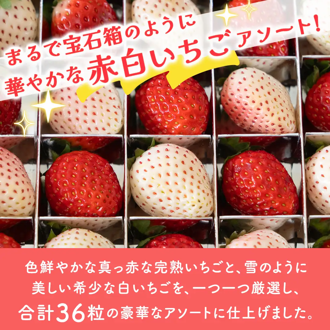 赤白いちごの宝石箱アソート 36粒 【2026年12月から発送開始】（茨城県共通返礼品 [いちご]：城里町産）