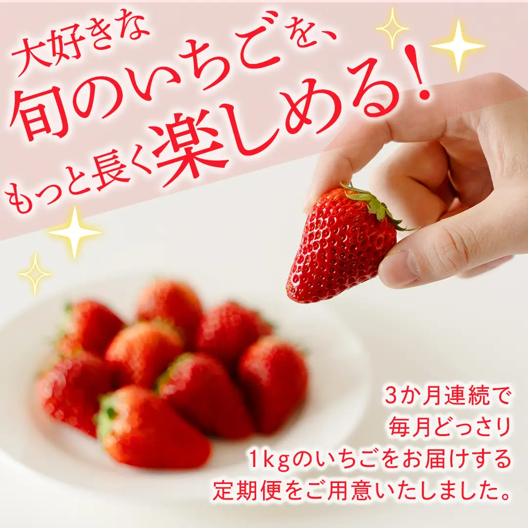 【定期便】いちご3ヶ月連続お届け便 （250g×4パック）×3回　【2027年1月から発送開始】（茨城県共通返礼品 [いちご]：城里町産）