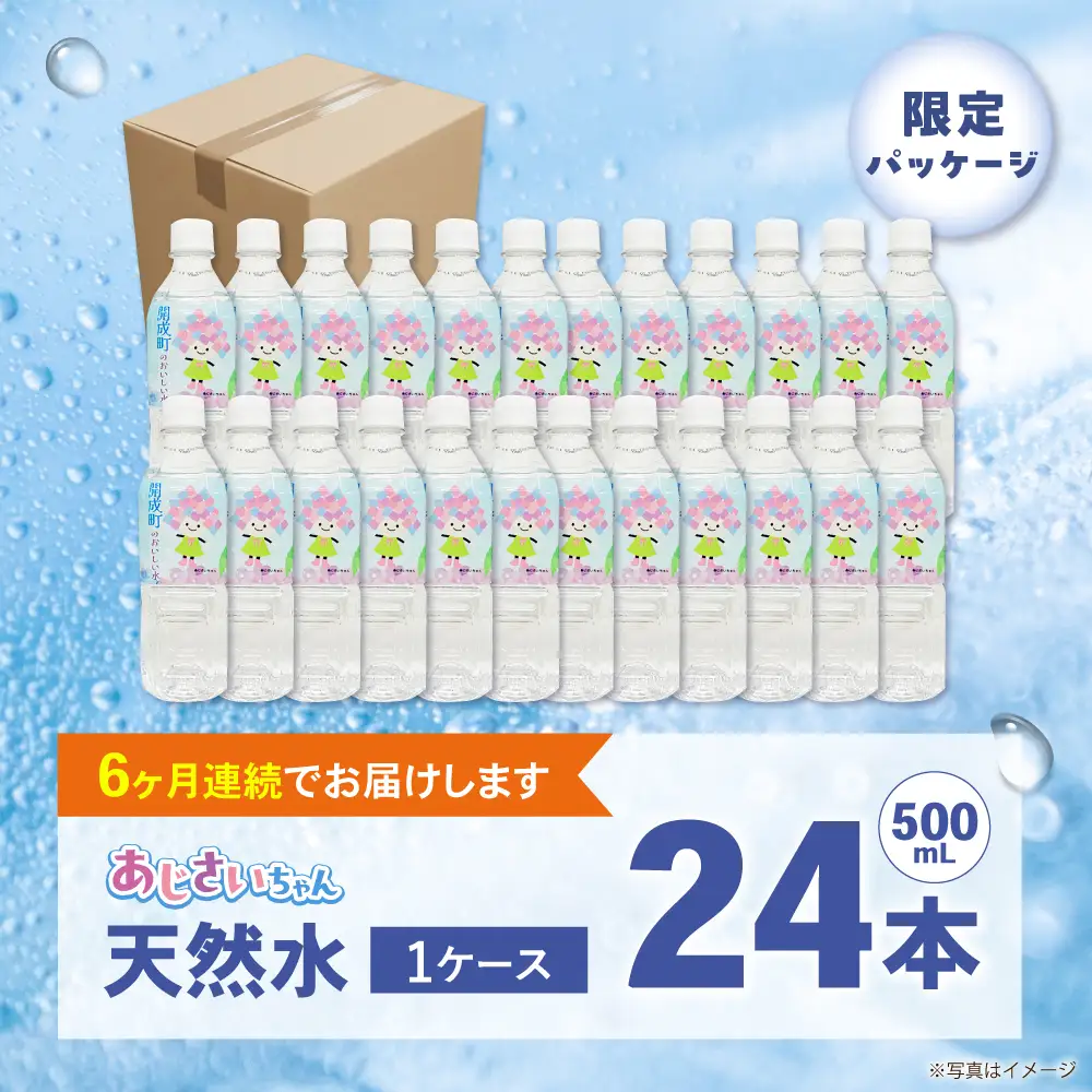 ミネラルウォーター 【全6回定期便（毎月お届け）】ミネラルウォーター （500mL×24本）1箱 [BDBE003-10]