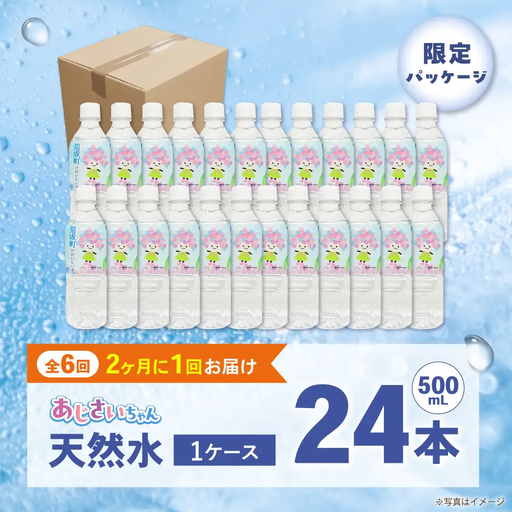 ミネラルウォーター 【全6回定期便（2ヶ月に1回お届け）】ミネラルウォーター （500mL×24本） 1箱 [BDBE003-13]
