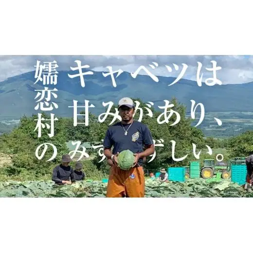 ＜レビューキャンペーン開催中＞【7月中旬以降発送開始】 【 定期便 】 嬬恋キャベツ 嬬恋産 高原キャベツ3玉1ケース 3ヶ月連続 定期便 [AS011tu]