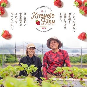 いちご 品種おまかせ 約500g｜KiyomotoFarm