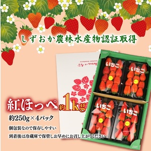 【 先行受付 】 紅ほっぺ 1kg いちご 【紅ほっぺ】