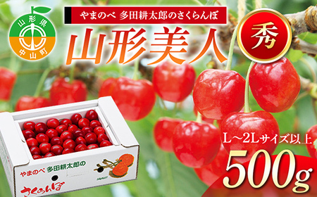 《2027年先行予約》【山形美人】 バラ詰 500g【やまのべ多田耕太郎のさくらんぼ 多田農園】期間限定 数量限定 山形県産 サクランボ フルーツ 果物 くだもの F4A-1003