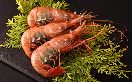子持ち ボタン エビ 500g(9尾~10尾) 北海道産 えび mr1-1265