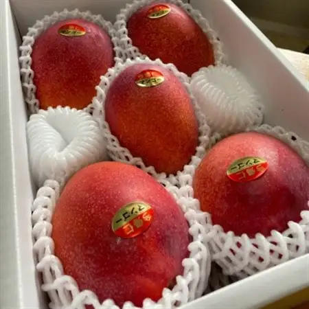 【2027年6月下旬から順次発送・家庭用】みなとばる農園の完熟アップルマンゴー2kg(3～6玉)【配送不可地域：離島】【1699990】