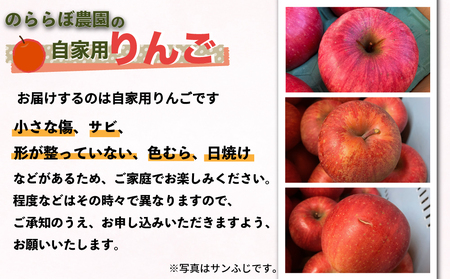 【先行受付2026年発送】農家直送！自家用りんご シナノスイート　5kg （約12～18個）｜のららぼ農園 ※2026年10月上旬～10月下旬発送予定