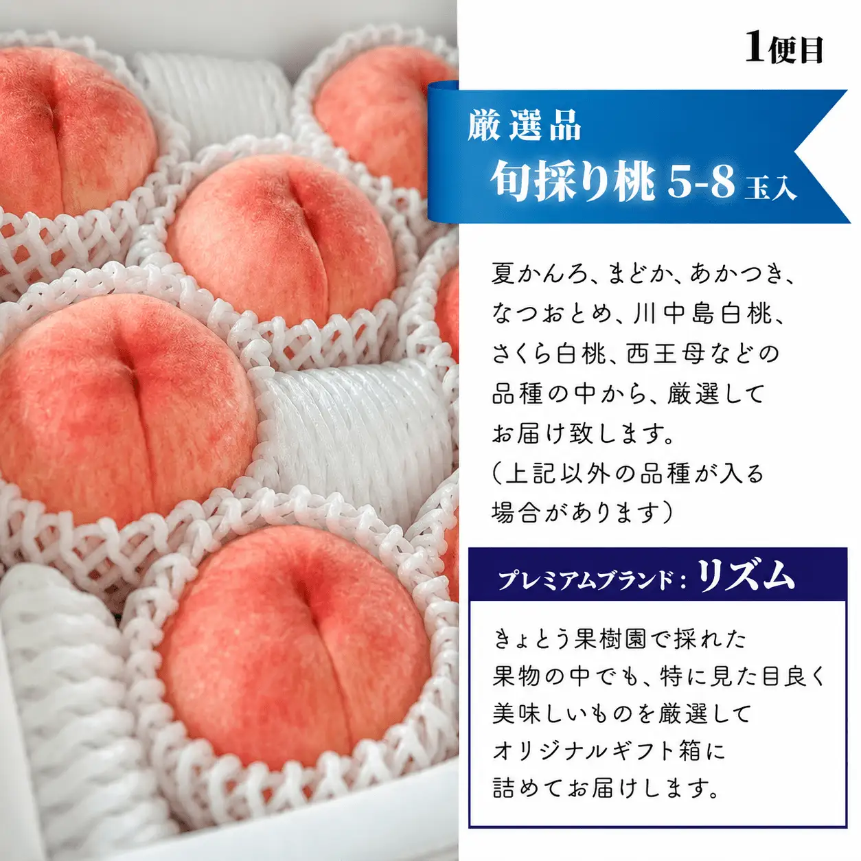 桃、ぶどう、梨の最上級品を旬にお届けする3回便！ (定期便)(岡山県産) 【KF-T033-01】