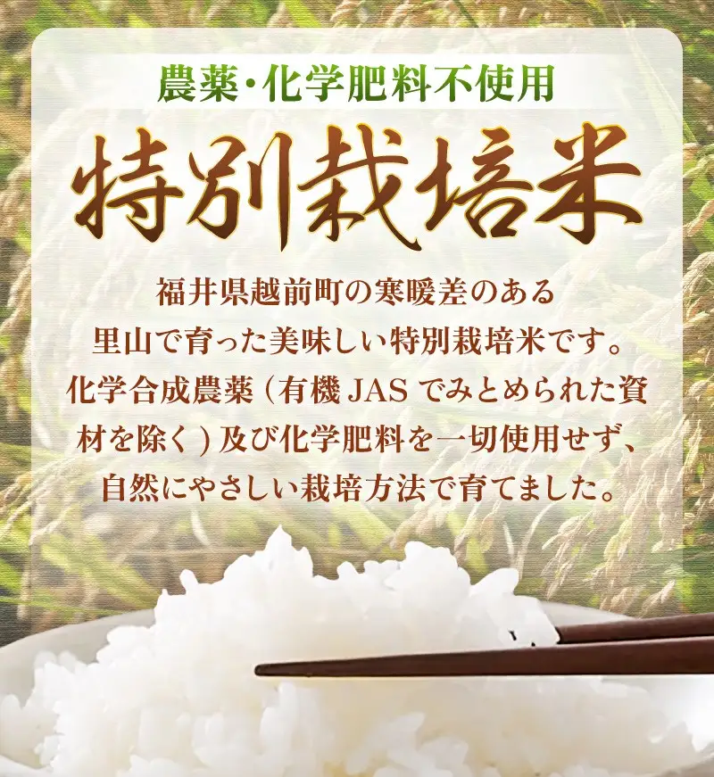 新米【令和8年産 】 特別栽培米コシヒカリ5kg 農薬化学肥料不使用（玄米）【10月中旬以降発送】 [e81-b003_02]