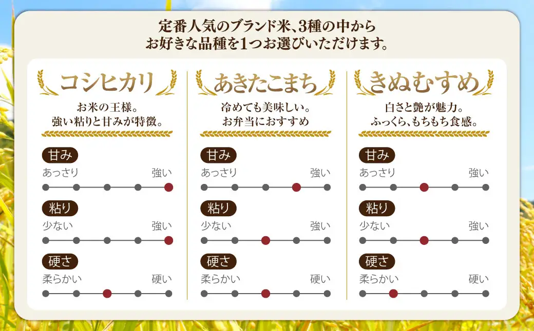 子育て応援米【令和７年産】奈義町産米 BG無洗米 きぬむすめ 5kg【窒素充填包装】 お米 米 無洗米 岡山県