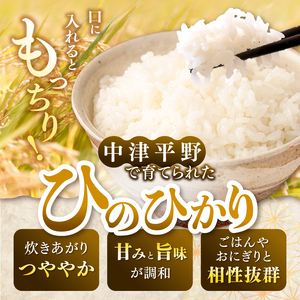 【定期便3回】R8年産大分県産米 ヒノヒカリ 無洗米 5kg | お米 精米 単一米 大分県 中津市