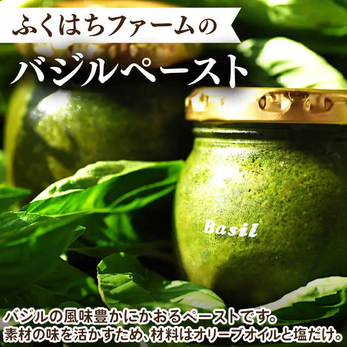 【2027年1月?発送】【愛情たっぷり】バジルペースト×3本 / 南島原市 / ふくはちファーム/福島農園 [SBS026]