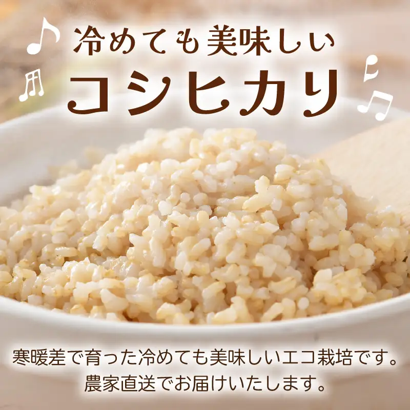【先行予約】【令和8年産 新米】ワルツ農場の直播き コシヒカリ 玄米 5kg / お米 ご飯 つや 艶 甘味 旨み あわら市産 福井県産 慣行栽培 コメ 北陸 福井県 あわら市 ※2026年10月下旬以降発送予定 [aw046-a006]