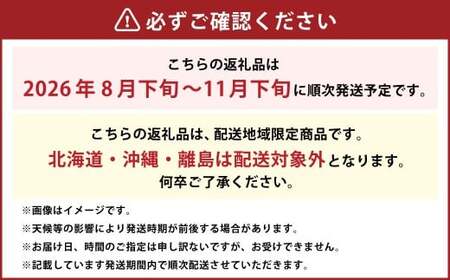 シャインマスカット 晴王 約600g×1房 【2026年8月下旬～11月下旬迄発送】 ／ マスカット 葡萄 ぶどう 果物 果実 フルーツ 種なし 皮ごと 大粒 岡山県 美咲町 冷蔵