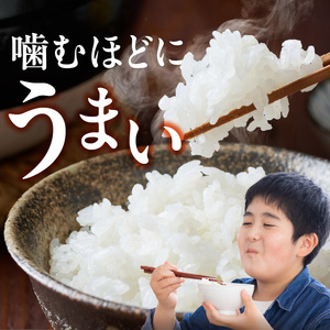 【定期便2回】【令和8年産 新米】福岡県産ブランド米夢つくし 白米 4.5kg×2回 _  夢つくし 4.5kg 2回 定期便 福岡県産 久留米産 ブランド米 精米 品種 艷やか 光沢 やわらかい 食感 米 ご飯 白ご飯 おにぎり 弁当 食品 お取り寄せ 福岡県 久留米市 送料無料  〔Tk103-02〕