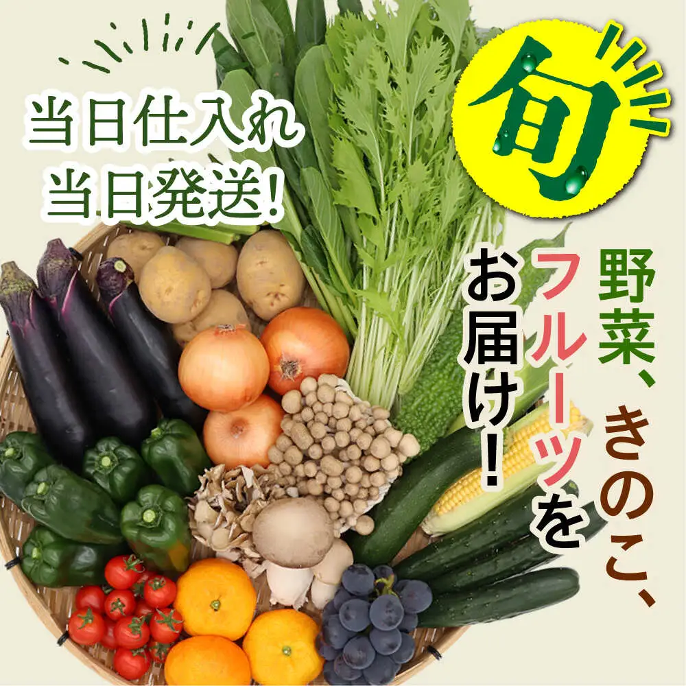 【6回定期便】【奇数月コース】野菜定期便 15品目以上 野菜 定期便[SCZ002]