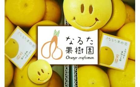 成田果樹園 の 土佐文旦 5kg 文旦 大玉 家庭用 ぶんたん [1685-2]