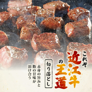訳あり 近江牛 牛肉切り落とし 500g OS010 牛肉切り落とし