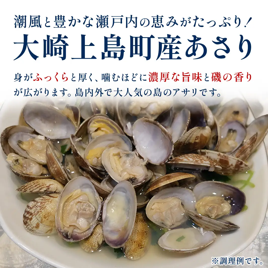 【先行予約】届いてすぐ調理！ 砂抜き済み 国産 あさり 約1kg ( 約500g × 2袋 小分け ) 2027年4月～5月 発送予定 冷蔵