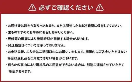 【希望の島】レモン特選品中玉2kg 愛媛県 松山市 中島産 レモン れもん 檸檬 贈答用 果物 フルーツ 調味料 農家直送 国産 常温 【2026年10月上旬-2027年6月下旬発送予定】（1012-1）