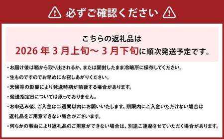 【希望の島】 媛小春 特選品 2kg 愛媛県 松山市 中島産 ひめこはる 柑橘 みかん 贈答用 果物 くだもの フルーツ デザート 国産 常温 【2027年3月上旬-3月下旬迄発送予定】（1018）