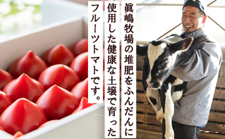 トマト 野菜ソムリエが育てた フルーツトマト 1kg(500g×2) 野菜 mj-0027