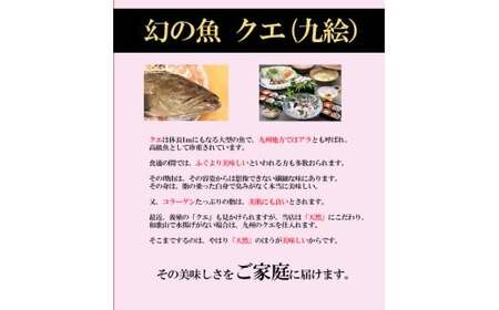 老舗旅館が目利きした天然クエ鍋300gセット(B1119-1)